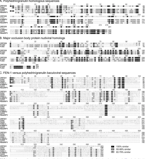 FIG 7 Amino acid sequence alignments of baculovirus polyhedrin/granulin sequences and presumed nudivirus homologs (see legend ofCpGV,quences