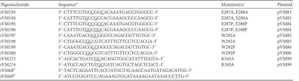 TABLE 1 Oligonucleotides used in ORF57 mutagenesis