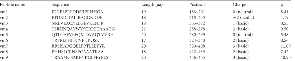 TABLE 2 ORF57-derived small synthetic peptides tested for inhibition of ORF57 homodimerization