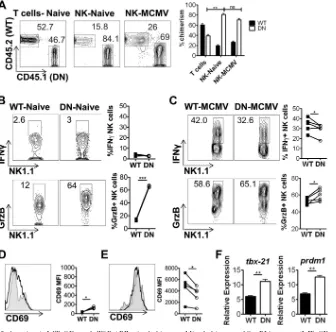 FIG 4 Cell-intrinsic NK cell alteration in WT–CD11c-dnTGF-**,was determined by ﬂow cytometry (left) and compared to that in T cells (right)