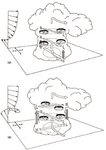 Figure 2.3: Schematic illustrating the pressure and vertical vorticity perturbations arisingas an updraft interacts with an environmental wind shear that (a) does not changedirection with height and (b) turns clockwise with height