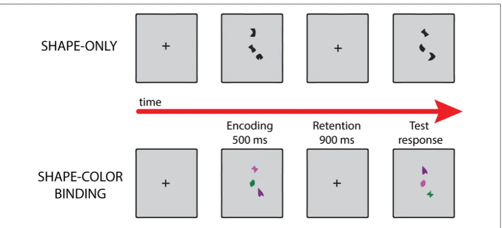 FIGURE 1 | Examples of different trials in each condition of the visual working memory task
