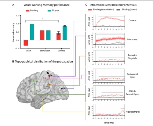 FIGURE 2 | Enhanced working memory binding by direct electrical stimulation of the parietal cortex
