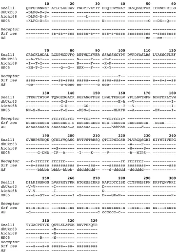 FIG 2 Sequence alignment of the amino acid sequence of seal11 HA with those of the avian A(H3N8) virus A/Duck/Ukraine/1/1963 (dkUkr63; PDB IDantigenic sites (labeled a, b, c, d, and e) (ID(Receptor) (labeled r), the solvent-accessible surface residues (Srf