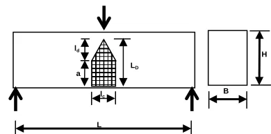 Fig.3: Schematic showing the equivalent damage zone   