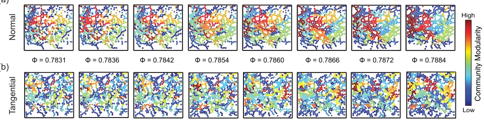 FIG. 6. Multilayer community structure of a compressed granular packing. For both the normal (a) and tangential (b) networks, particles