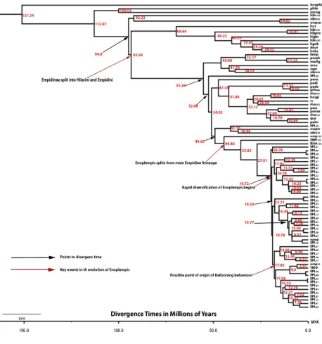 Figure 
  vi. 
  Divergence 
  time 
  tree 
  showing 
  important 
  events 
  in 
  the 
  evolutionary 
  history 
  of 
  