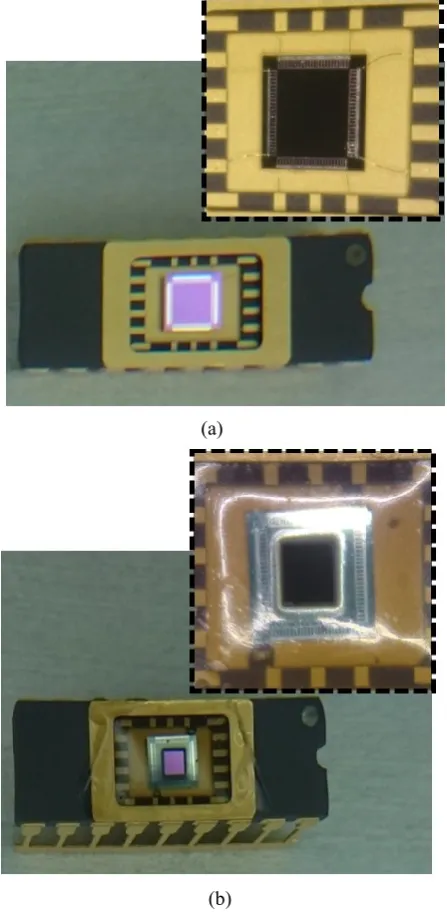 Figure 3: Photograph of a TS1 (a) before dispensing of epoxy resin and (b) after patterning