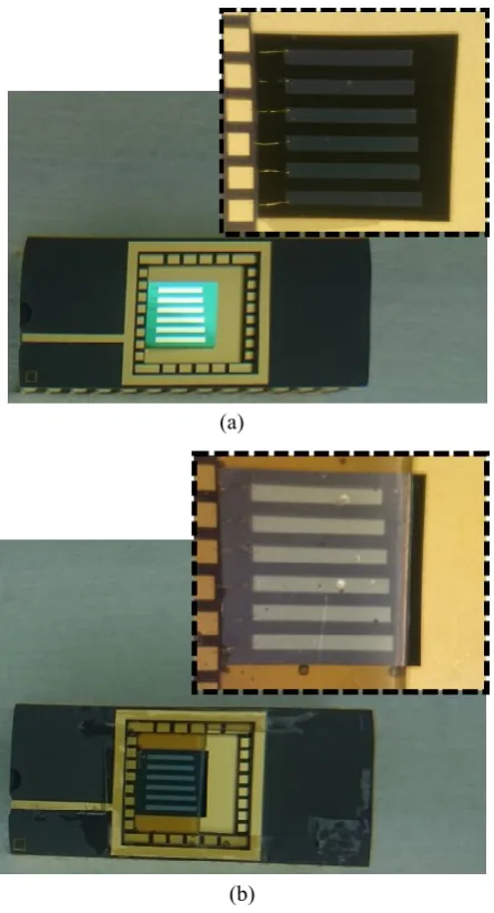 Figure 9: Photograph of a TS1 (a) before dispensing of epoxy resin and (b) after patterning