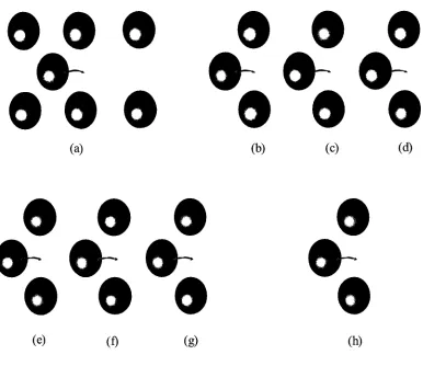 Figure 2.2: Possible types of interactions among the molecules of a binary system. 