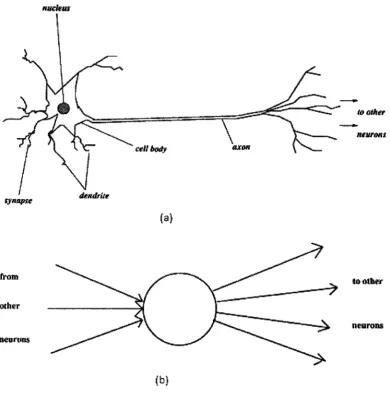 Figure 2.6: (a) Schematic diagram of real neuron (b) Schematic diagram of artificial 