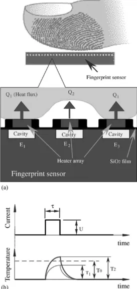 Fig. 1. Fingerprint sensor with arrayed microheater elements: (a) device structure; (b) sensing principle.