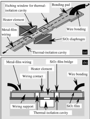 Fig. 3. Proposed sensor element structure: (a) top view; (b) cross-sectional view.