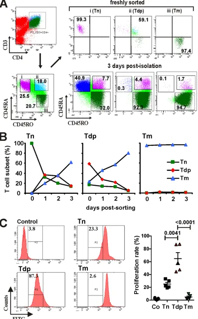 FIG 8 Differentiation and proliferation of different T cell subsets. (A) Gating strategy for the isolation of different T cell subsets and phenotypic characterizationimmediately after sorting and 3 days later