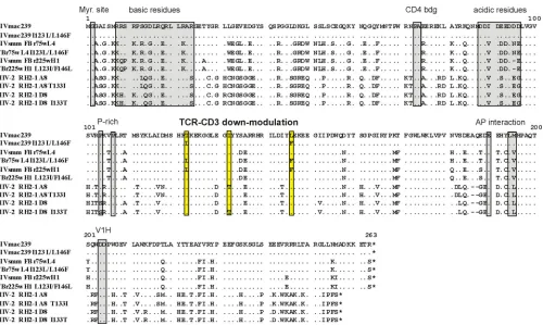 FIG 1 Alignment of Nef amino acid sequences differing speciﬁcally in the TCR-CD3 downmodulation function