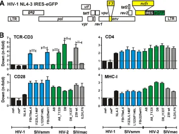 FIG 2 HIV-1 constructs expressingconstructs carrying various nef alleles differing in TCR-CD3 downmodulation