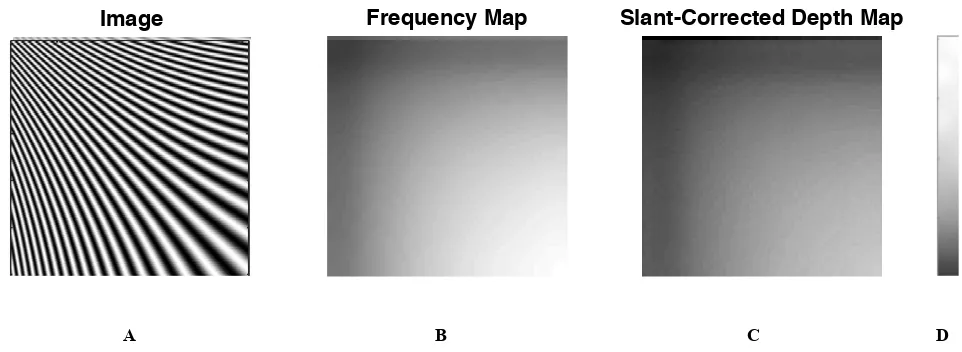 Figure 7.   A. Oblique frequency gradient in a one-dimensional texture. B. Frequency map