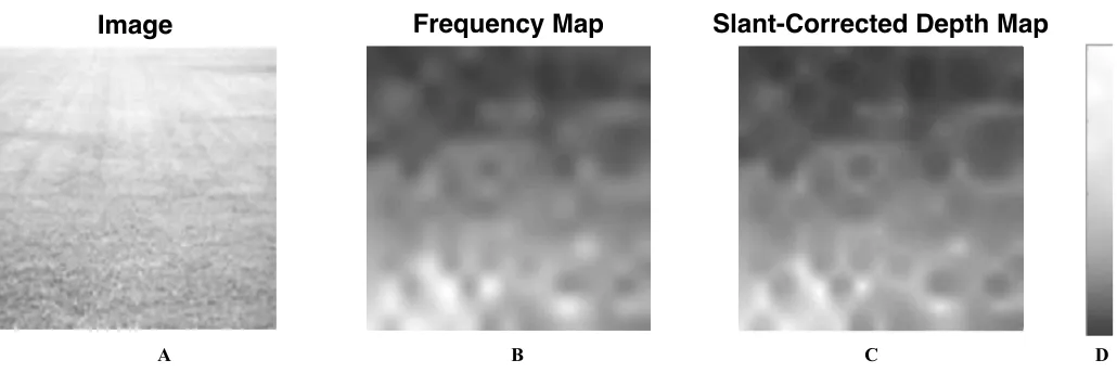 Figure 11.  Simple natural texture gradient of a grassy field. Coding as in Figure 7. 