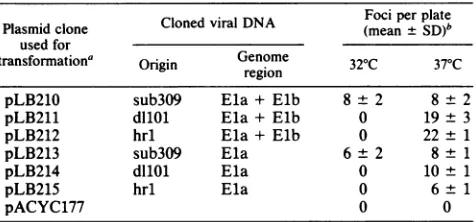 TABLE 4.plasmids Transforming activity in CREF cells of hybrid containing Ela or Ela and Elb gene sequences of dIlOl,hrl, and sub3O9