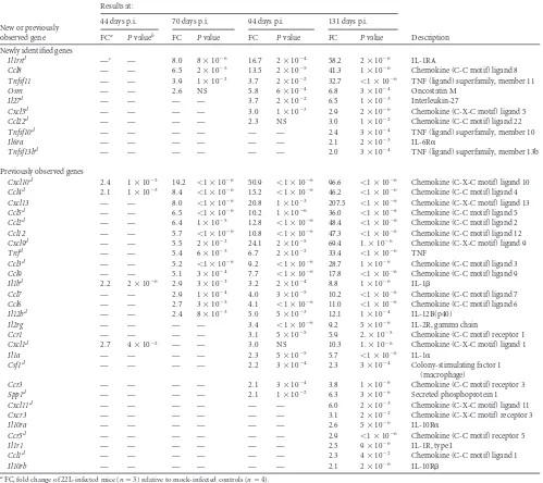 TABLE 1 Genes increased in strain 22L scrapie-infected C57BL/10 mouse brains, based on the Inﬂammatory Cytokines and Receptors array assayresults