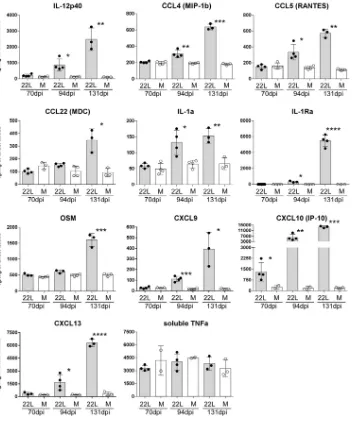 FIG 1 Detection of cytokines in brain tissue of C57BL/10 mice at various times after infection with scrapie strain 22L