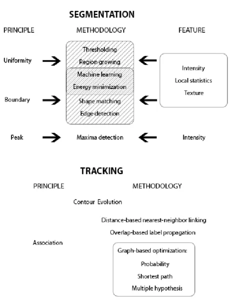 Figure 3. Taxonomy of cell segmentation and tracking methods. 