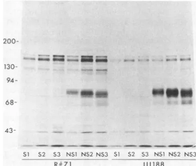 FIG. 7.expressionorthenotmary in Location of the gene for gF on the HSV-2 genome and the genes for gC (9, 14) and TK (17, 32) on the HSV-1 genome and of the results obtained a sum- from screening AraTr viruses that contained insertions of HSV-2 DNA sequenc
