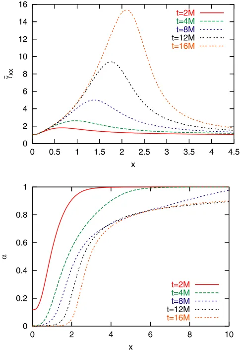 FIG. 7 (color online).A time evolution sequence for the con-slicing given in Eq. (8). Results are shown for the highestformal metric ~�xx and the lapse � using the variant of 1 � logresolution run.