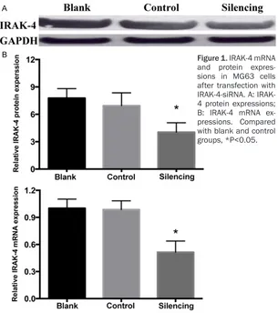 Figure 1. IRAK-4 mRNA and protein expres-