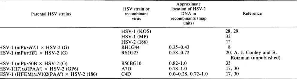 TABLE 1. HSV strains and intertypic recombinant viruses used