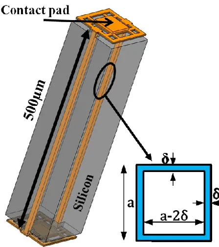 Fig. 3.10: cross section of one contact spring path. 