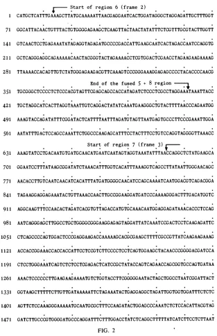 FIG. 29