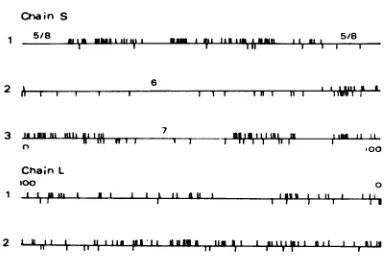 FIG. 4.Numbersstriped Localization of the open reading frames on the viral genomes of HBV and WHV and comparison with the DHBV genome