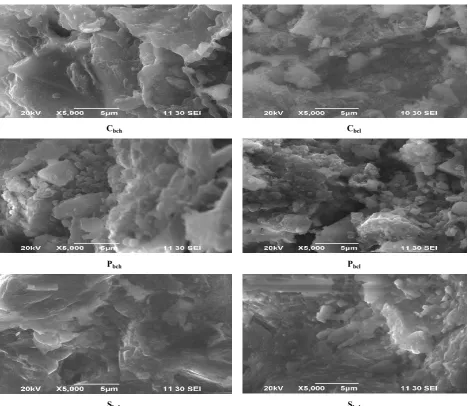Table 1:  Some physical, chemical and physicochemical properties of the soil and biochar  