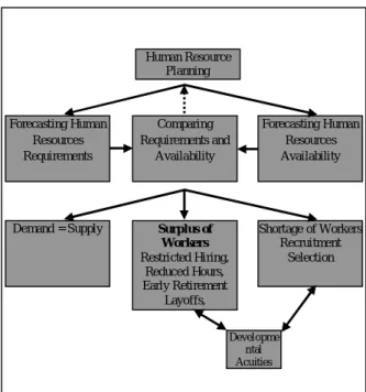 Figure 1:  The Process of Human Resource Planning  The  human  resource  planning  process  begins  with  requirement  forecast  and  availability  forecast
