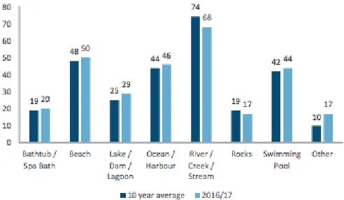 Figure 2. Drowning Deaths by location 2016/2017 