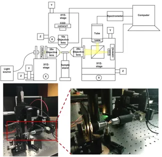 Fig. 9. Optical setup for imaging and measuring the transmitted output signal. 