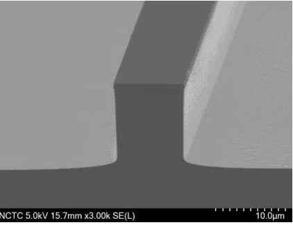 Fig. 1. SEM image of the cross section of the silicon waveguide with width and height of 10 µm fabricated using contact photolithography