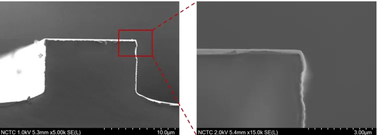 Fig. 2. (a) Schematic of PDMS soft mold preparation process for the nanoimprint technique