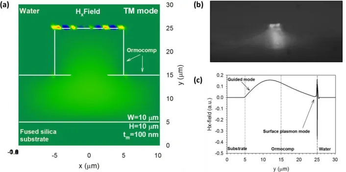 Fig. 6. Modal field profile excited in the ormocomp waveguide at the resonance wavelength from (a) FEM simulation and (b) experiment, and (c) Hx field of the coupled dielectric-plasmonic mode along the y-axis