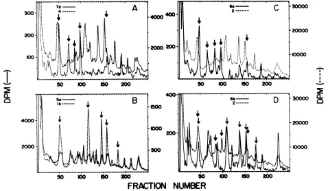 FIG. 6.foundare[14C]leucine; Tryptic peptide analysis of proteins P3-lb, P3-2, P3-4, 5a, and 7d