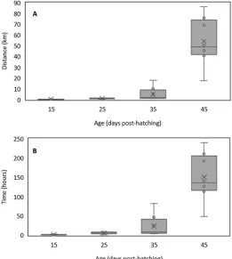 Figure 4. Distance (km) (A) and time (hours) (B) swam by white seabream Diplodus sargus (Linnaeus, 1758) larvae during swimming endurance experiments at 15, 25, 35, and 45 days post-hatching