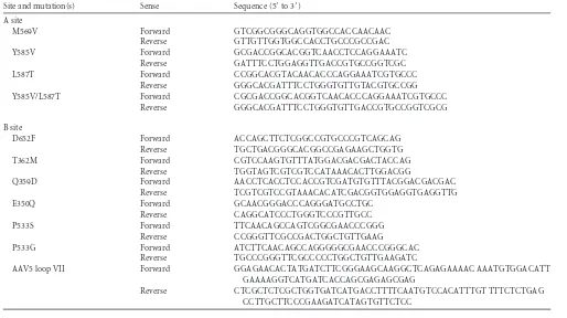 TABLE 2 Oligonucleotide primers used to make the different A-site and B-site AAV5 cap mutants