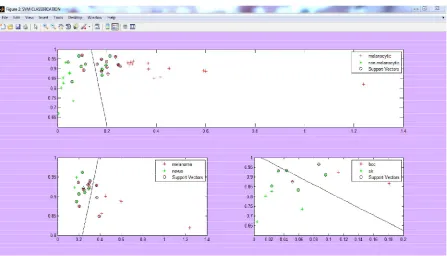 Figure 2.  SVM Classification 