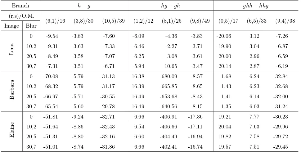 Table 2.4: blur invariants of degraded images with Gaussian ﬁlters. Coiﬂet of order 2 is employed for this experiment.