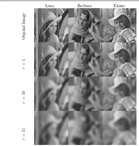 Figure 2.5: Images of Lena, Barbara, and Elaine in their original shape and blurred with disk ﬁlters