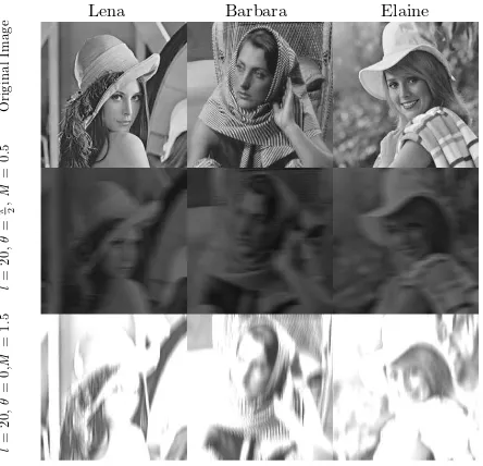 Figure 2.6: Images of Lena, Barbara, and Elaine in their original shape and blurred with motion