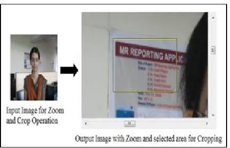 Fig. 4. Zoom and Crop Operation on Input Image 