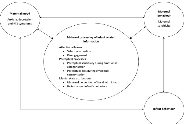 Figure 1-1.  Proposed cognitive model of maternal sensitivity 