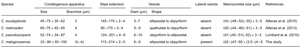 Table   Distinctive morphological characters of Calonectria species closely related to C